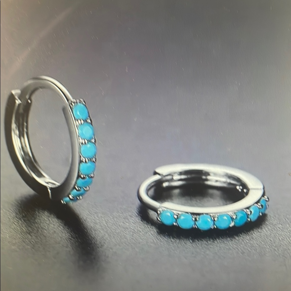 Elegant Silver And Blue Stone Earrings